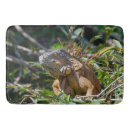 Recherche de exotique photographie Photographie de la nature