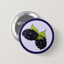 Recherche de mûre badges Baies