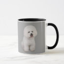 Recherche de frises bichon tasses Frise de bichon