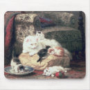 Recherche de chaton bébé tapis souris Sommeil