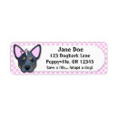 Recherche de heeler bleu Chiens