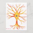 Recherche de neurones cartes postales Biologie