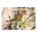Recherche de saskatchewan canada posters Nature