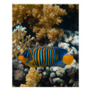 Recherche de animaux marins posters Toute personne
