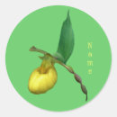 Recherche de orchidées jaunes autocollants Floral