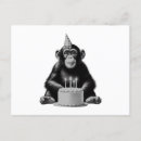Recherche de humour singe vœux cartes Mignon