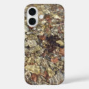 Recherche de photography coques Nature