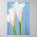 Recherche de tango posters Pour tous