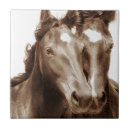Recherche de cheval 10x10 carreaux Animal