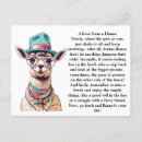 Recherche de lama drôle cartes postales Bizarre