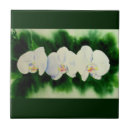 Recherche de peinture tropicale carreaux Orchidées