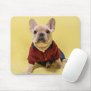 Recherche de french bulldog tapis souris Chiot