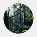 Recherche de lumière ornements Bois