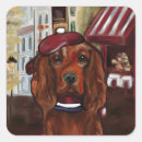 Recherche de acajou cadeau emballages Setter rouge irlandais