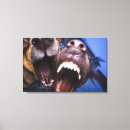 Recherche de chien bizarre chien bizarre art Horizontal