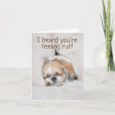 Recherche de shihtzu vœux cartes Animaux