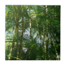 Recherche de forest carreaux Vert