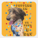 Recherche de bandana autocollants Anniversaire