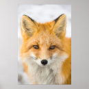 Recherche de chains posters Alaska