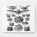 Recherche de ordonné tapis souris Cool