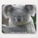 Recherche de ours koala tapis souris Animal australien