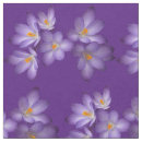 Recherche de crocus de ressort Violet