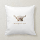 Recherche de bouledogue coussins Chien