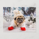 Recherche de carlin de noël cartes postales Chiot