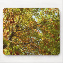 Recherche de autorisation tapis souris Arbre