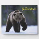 Recherche de ours plaques Porter