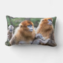 Recherche de singe coussins Faune