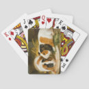 Recherche de cobaye jeux de cartes Rongeur