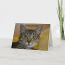 Recherche de chat gris vœux cartes Tabby