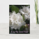 Recherche de femme spéciale vœux cartes Amitié