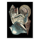 Recherche de coquillages uniques cartes postales Côtier
