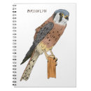 Recherche de faucons carnets Oiseau de proie