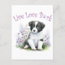 Recherche de chien de border collie cartes postales Amoureux des chiens