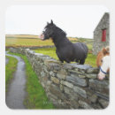 Recherche de de mur autocollants Animal