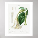 Recherche de trumpet posters Vintage