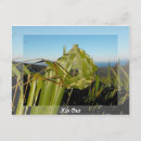 Recherche de tissage cartes postales Embarcation