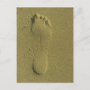 Recherche de traces cartes postales Nature