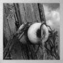 Recherche de relique posters Nature