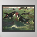Recherche de mammifères marins posters Pour tous