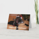 Recherche de chocolate labrador christmas vœux cartes Xmas