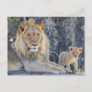 Recherche de delta cartes postales Lion