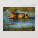 Recherche de okavango posters Extérieur