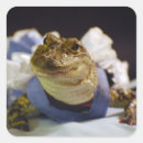 Recherche de alligators autocollants Pour tous