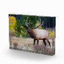 Recherche de bramante maison deco Automne