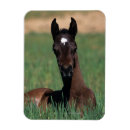 Recherche de fixation magnets Se coucher