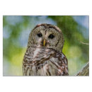 Recherche de chouette planches à découper Animaux